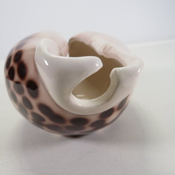 Ceramic Sea Shell Dish - Planter Cowrie Shell Brown Spotted - Picture 3 of 14